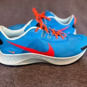 NEW Nike Pegasus Trail 3 Blue DA8697-400